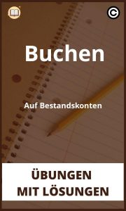 Buchen Auf Bestandskonten Übungen mit lösungen PDF