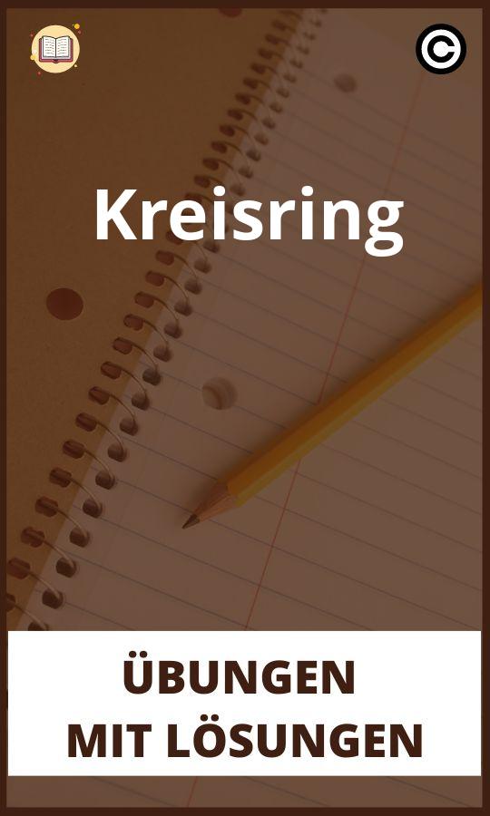 Kreisring Übungen mit lösungen